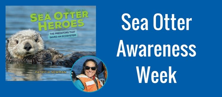 Celebrate Sea Otter Awareness Week with SEA OTTER HEROES Author Patricia Newman!