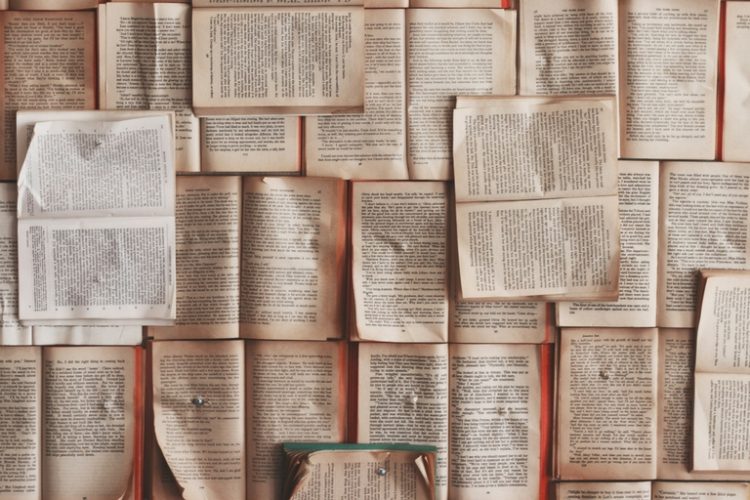 “Like Getting Punched in the Face”: Discovering Debut YA The Disturbed Girl’s Dictionary