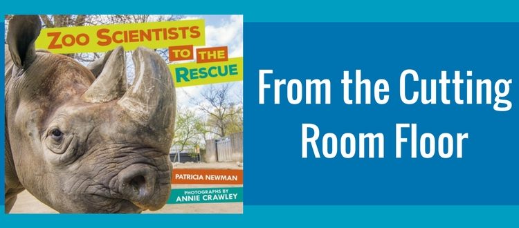 Zoo Scientists to the Rescue: From the Cutting Room Floor