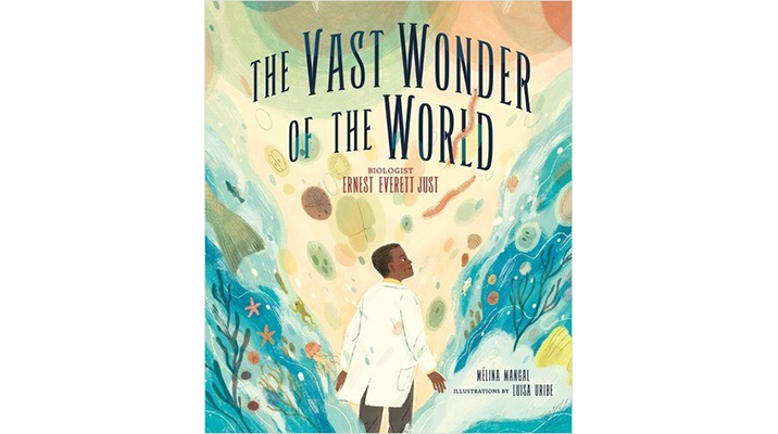 Behind the Scenes of Making a Picture Book: The Vast Wonder of the World