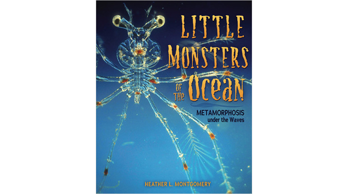 Little Monsters of the Ocean: Book Design