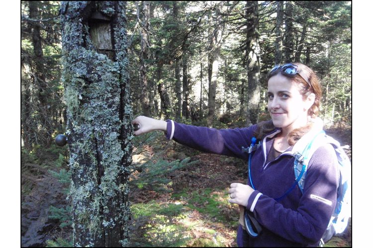 Real-World Anchors in A Time Traveler’s Theory of Relativity