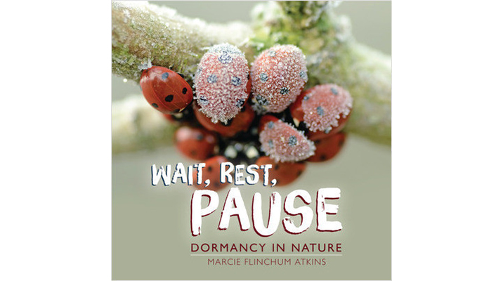 Millbrook’s New STEM-themed K-3 Photo Books: Author Interview, Part 1