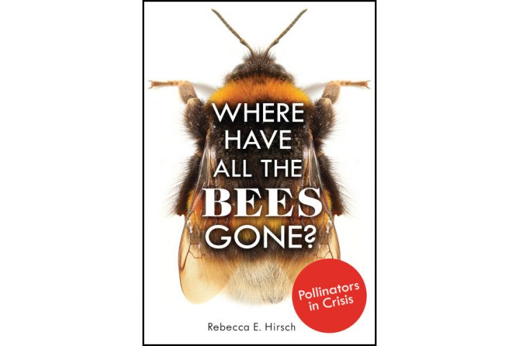Where Have All the Bees Gone?
