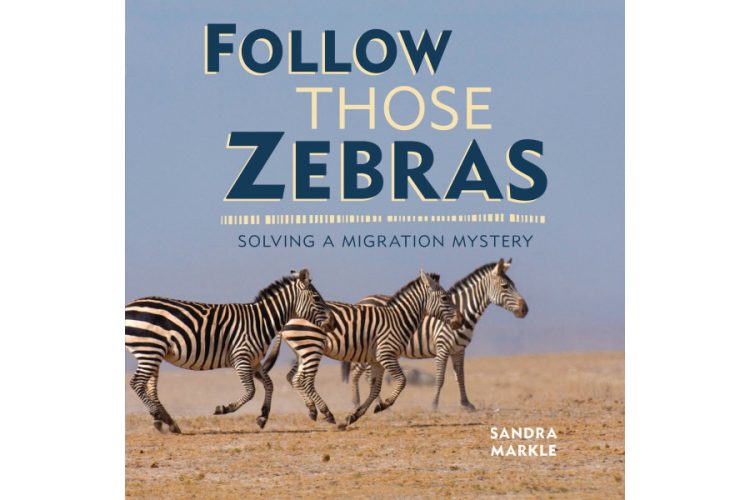 The Design Behind Follow Those Zebras