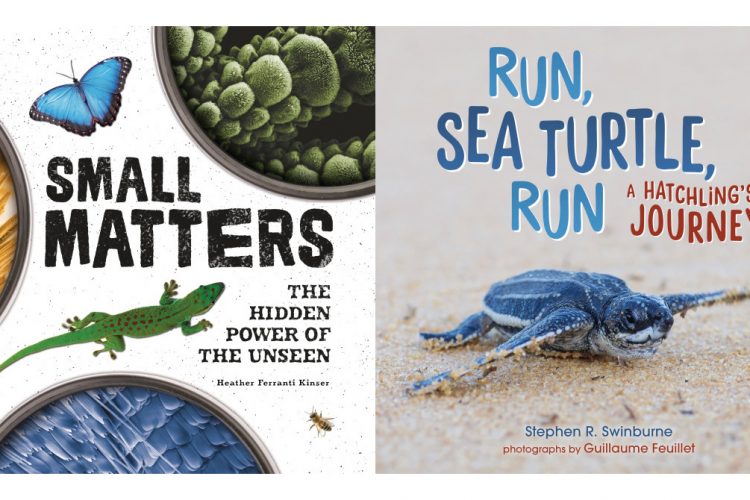 K-3 Book Design: Deceptively Easy?