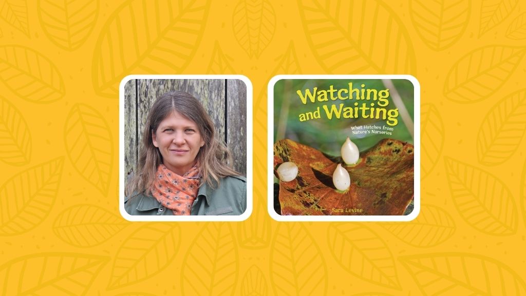 Watching and Waiting: An Interview with Author Sara Levine